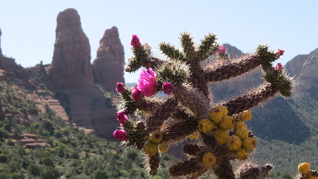 Uncover Arizona’s Heritage: Top Museums for Your Travel Itinerary