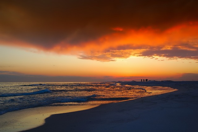 Florida Travel Guide: Top Beaches & Must-Do Activities for Sun-Soaked Trips