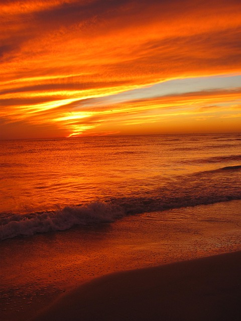 Unveiling Florida’s Natural Treasures: A Comprehensive Guide to Top Reserves