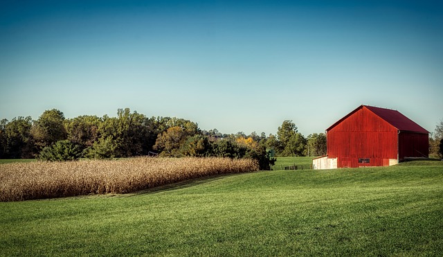 Discover Fun: Maumee Ohio Riverfront Activities for Kids