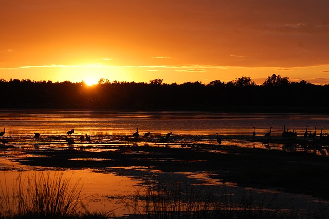 Explore Neenah Wisconsin: Hidden Gems, Nature, Food & Culture