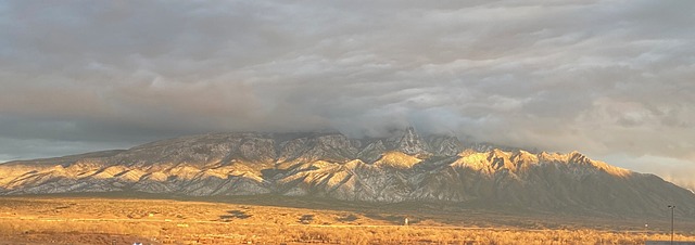 Unveiling New Mexico’s Equine Paradise: A Travel Guide for Horse Lovers