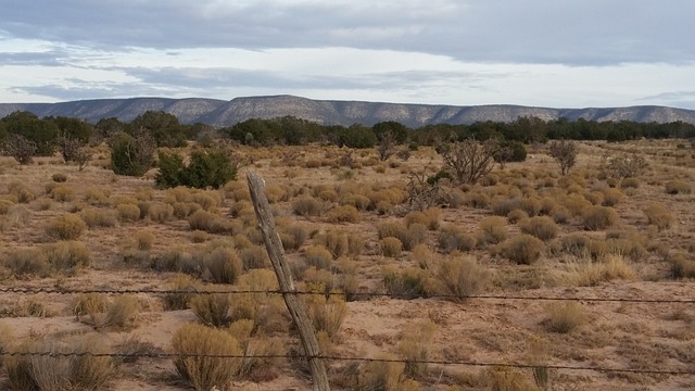 Unveiling New Mexico’s Aquatic Gems: Top Lakes for Travel & Adventure