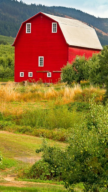 Unveiling Oregon’s Past: A Travel Guide to Historic Battlefields