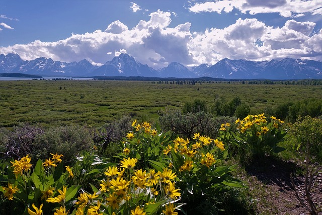 Wyoming’s Waterways: Top Boating Destinations & Outdoor Adventures Guide