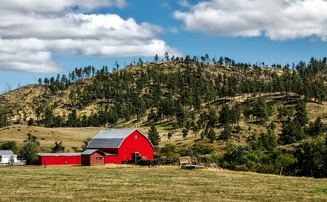 Wyoming’s Christmas Markets: A Holiday Guide for Travelers