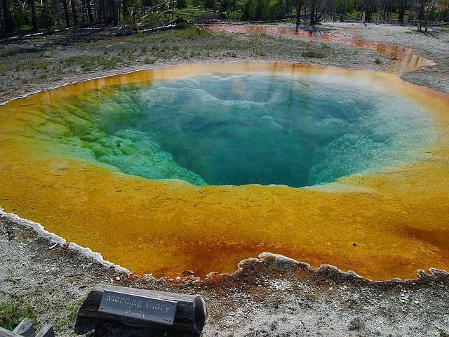 Unveiling Wyoming’s Hidden Treasures: A Flea Market Explorer’s Guide